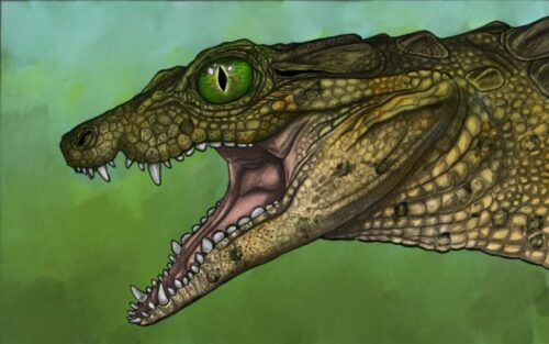 La surprenante révélation sur un crocodyliforme oublié qui redéfinit notre compréhension de l'évolution des crocodiles