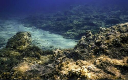 Le mystère des profondeurs marines qui transforme notre atmosphère en oxygène vital