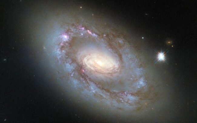Le mystère d'une galaxie tranquille et son trou noir supermassif caché au cœur de ngc 4102