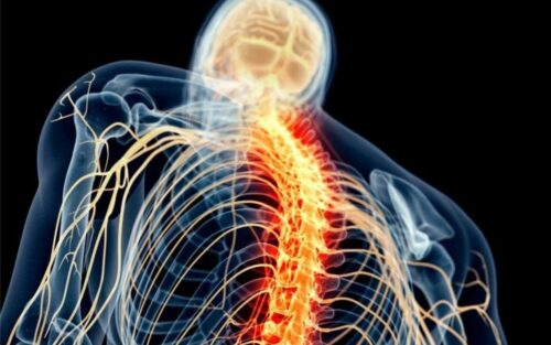 Le secret des douleurs : comment un récepteur pourrait transformer notre approche de la douleur sans bloquer l'inflammation