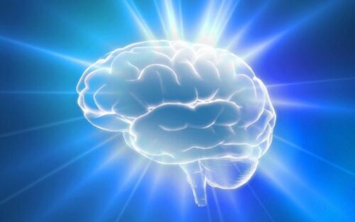 Les mystères de l'œstrogène et son impact méconnu sur le fonctionnement cognitif et l'humeur