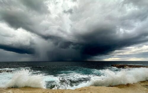 Les plages menacées par l'urbanisation et le mystère des écosystèmes côtiers en danger