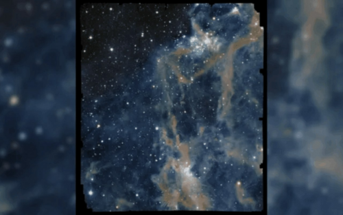 L'étonnante métamorphose de ldn 1641 révélée par le télescope euclide dans la constellation d'orion