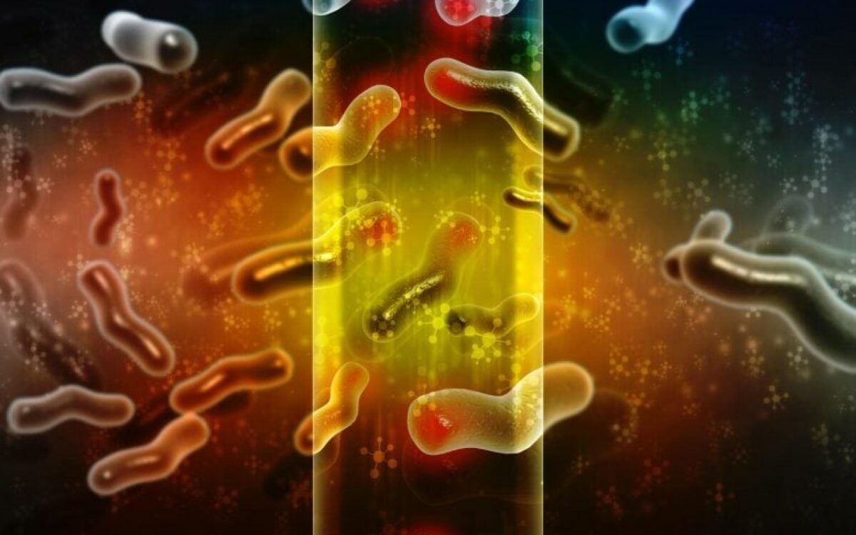 L'évolution fascinante d'une science méconnue : comment les microbes transforment notre vision de la conservation