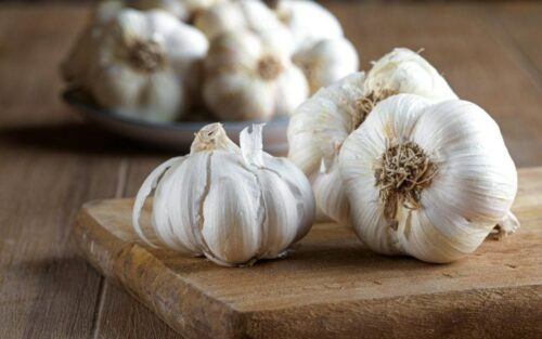 L'évolution surprenante du soin bucco dentaire avec l'extrait d'ail comme alternative naturelle