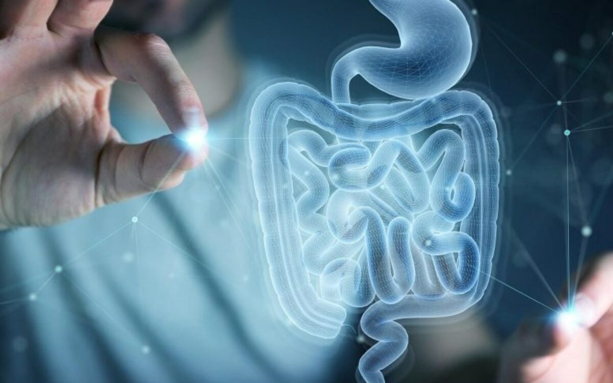 Un défi scientifique majeur pour améliorer le diagnostic des hémorragies intestinales par des sphères microscopiques