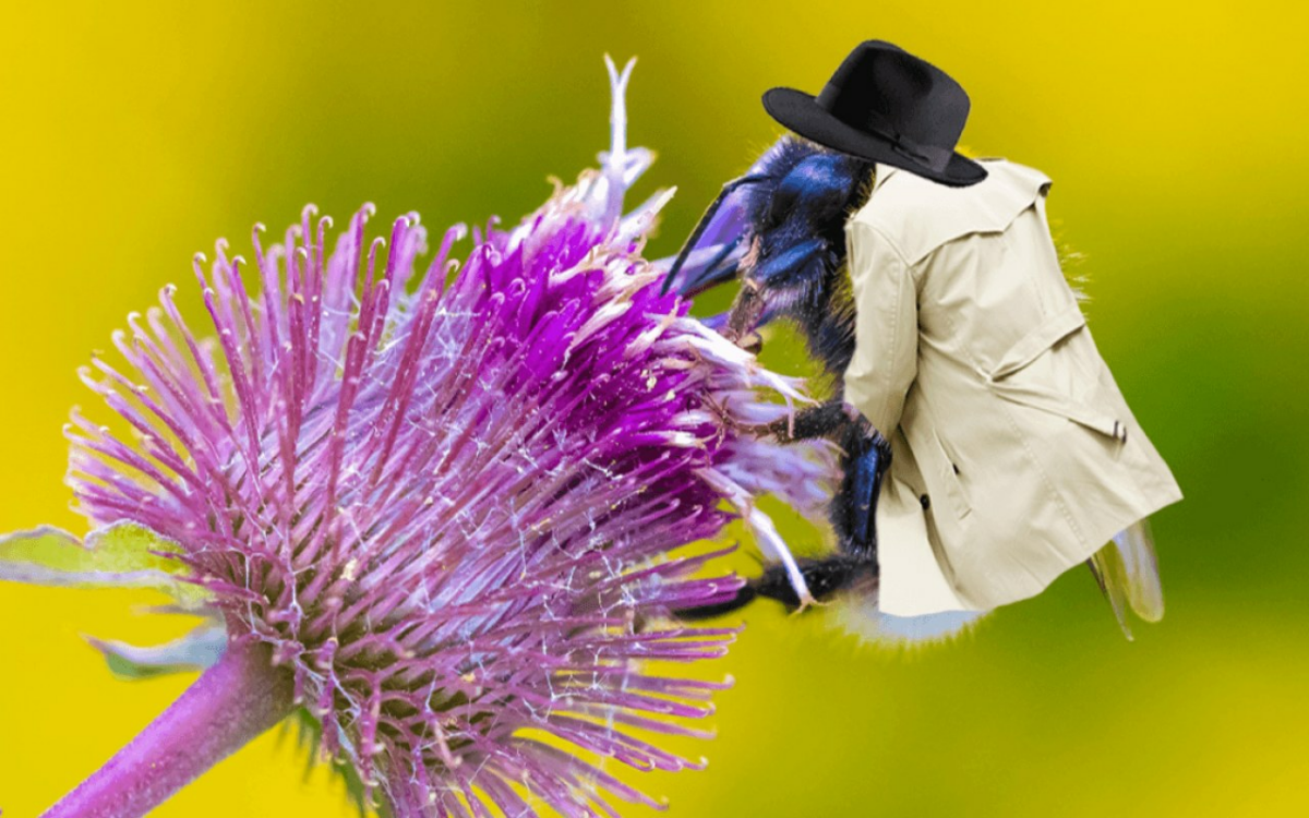 Un mystère ancien refait surface et bouleverse notre compréhension des civilisations passées