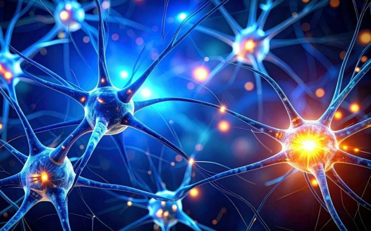 Un nouveau défi pour la recherche sur alzheimer face à l'inefficacité d'un traitement prometteur