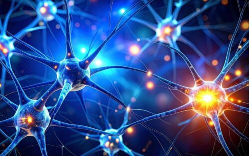 Un nouveau défi pour la recherche sur alzheimer face à l'inefficacité d'un traitement prometteur