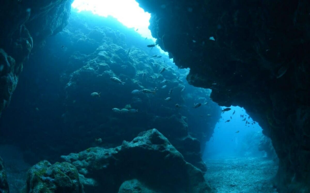 Un tournant fascinant dans l'exploration sous marine : des fossiles de l'ère glaciaire retrouvés au large du mexique