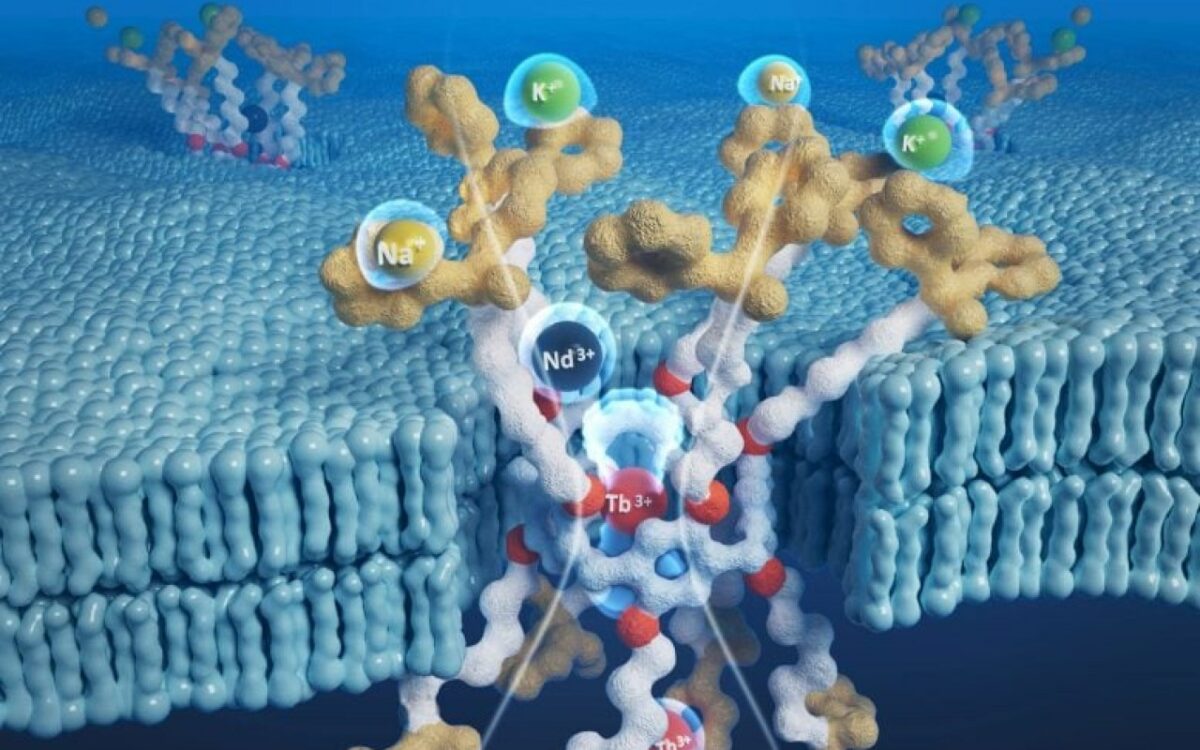 Une avancée scientifique surprenante dans l'extraction des éléments rares pour un avenir durable