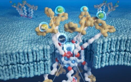 Une avancée scientifique surprenante dans l'extraction des éléments rares pour un avenir durable