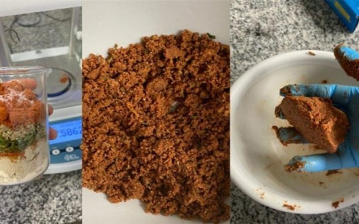 Une métamorphose alimentaire : la viande végétale à base de tournesol qui pourrait changer notre avenir