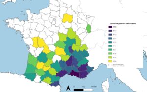 2 000 observations iNaturalist, 8 espèces d&rsquo;arachnides analysées, des soins aux petits documentés, l&rsquo;origine de la paternité surprend les experts