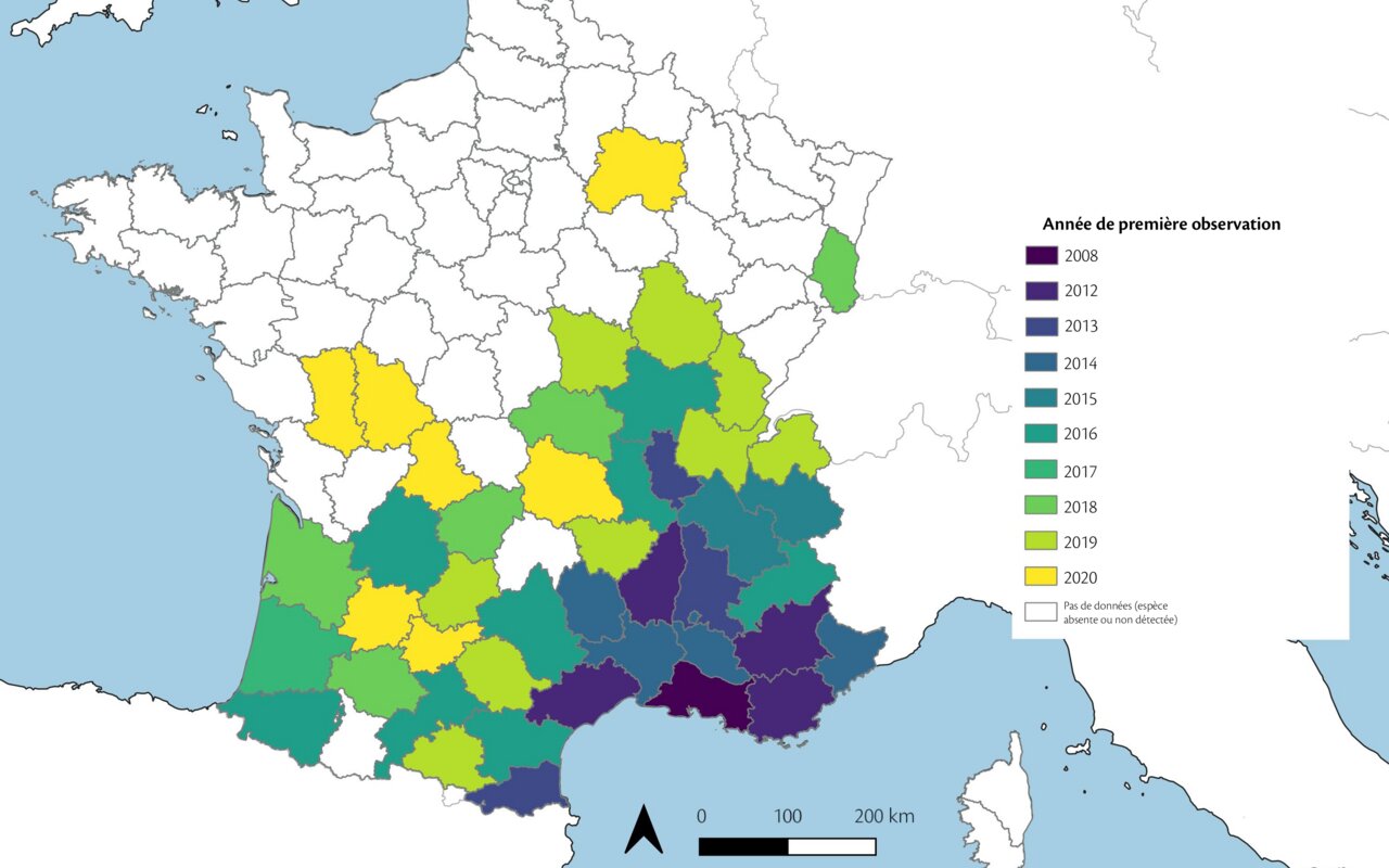 2 000 observations iNaturalist, 8 espèces d’arachnides analysées, des soins aux petits documentés, l’origine de la paternité surprend les experts