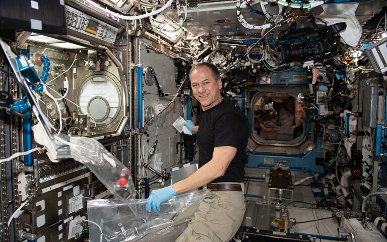 2 tissus bioprintés, rein et foie, imprimés en microgravité sur l’ISS, ce blocage terrestre que la NASA surprend en contournant