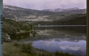 7000 ans, 1 lac de montagne en Norvège, des truites introduites à 1000 m d’altitude, ce geste inattendu surprend les archéologues
